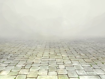 Seiinn no Artis cover