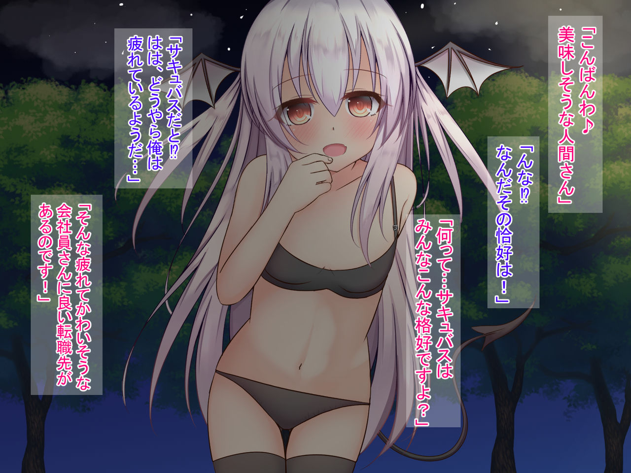 Succubus no Kachiku ni Naru Hanashi -Mensetsu Hen- page 3 full