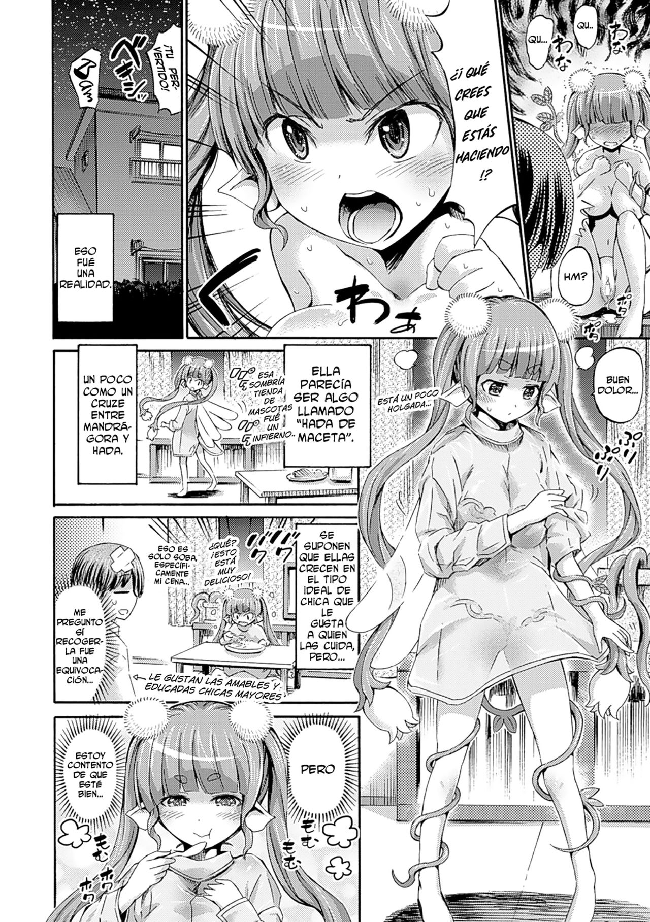 Hachi no Ue no Flower | Flor en una maceta page 4 full