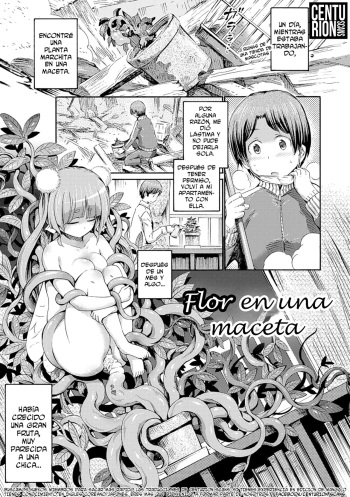 Hachi no Ue no Flower | Flor en una maceta cover