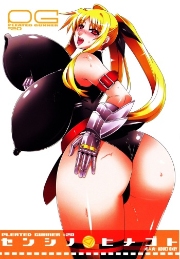 Pleated Gunner #20 Senshi no Himegoto | Pleated Gunner #20 A Warrior's Secret cover
