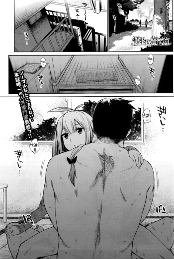 Shokubutsu no Sodatekata How to Raise Plants cover