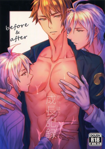 Seichou Kiroku cover