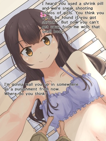 Mizugi no Onnanoko ni Marunomi Shouka Sareru Hanashi cover