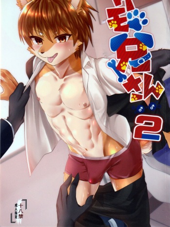 Kemo Nii-san 2 cover