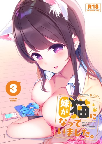 Imouto ga Neko ni Natteimashita. 3 cover