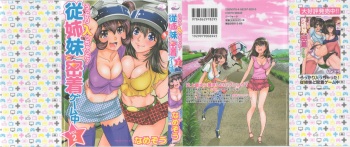 Ukkari Haicchatta! Itoko to Micchaku Game Chuu Vol. 2 cover