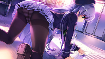 Pantyhose cover