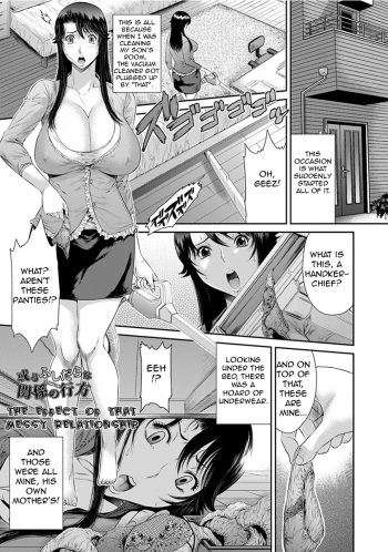 Aru Fushidara na Kankei no Kouroyku | The Effect of that Messy Relationship cover
