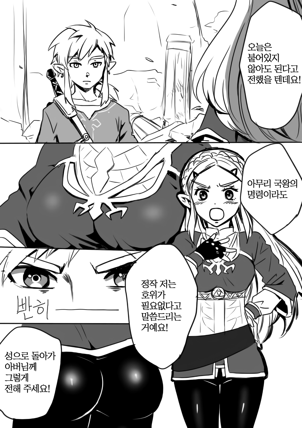 Link to Zelda no Shoshinsha ni Yasashii Sex Nyuumon | 링크와 젤다의 초심자에게 상냥한 섹스입문 page 3 full
