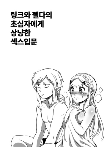 Link to Zelda no Shoshinsha ni Yasashii Sex Nyuumon | 링크와 젤다의 초심자에게 상냥한 섹스입문 cover
