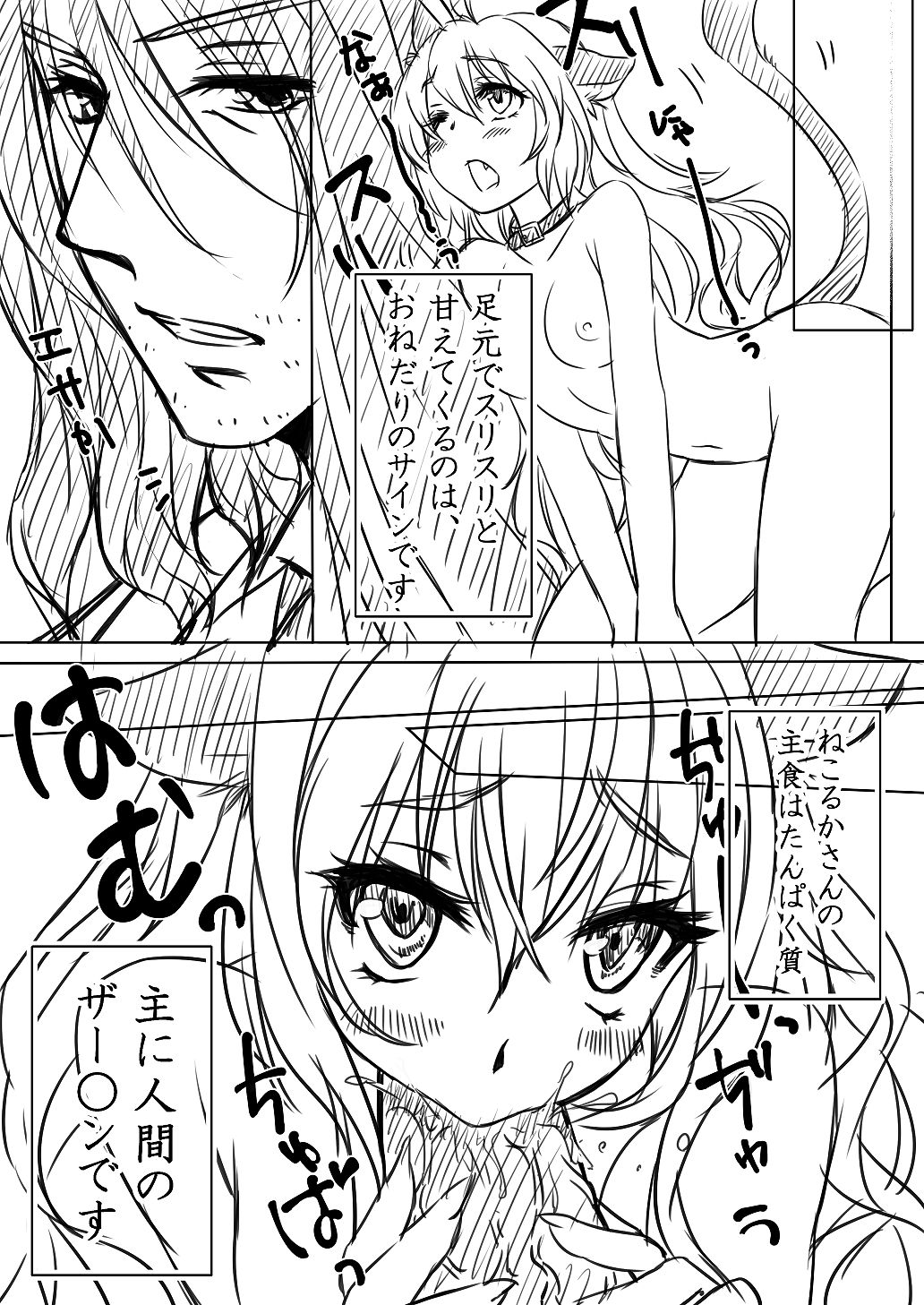 ねこるかさんの飼い方 page 4 full