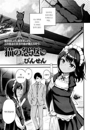Neko no Ongaeshi cover