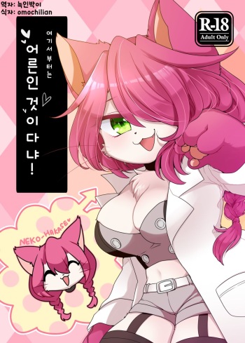 Koko kara wa Otona no Jikan Nya! cover