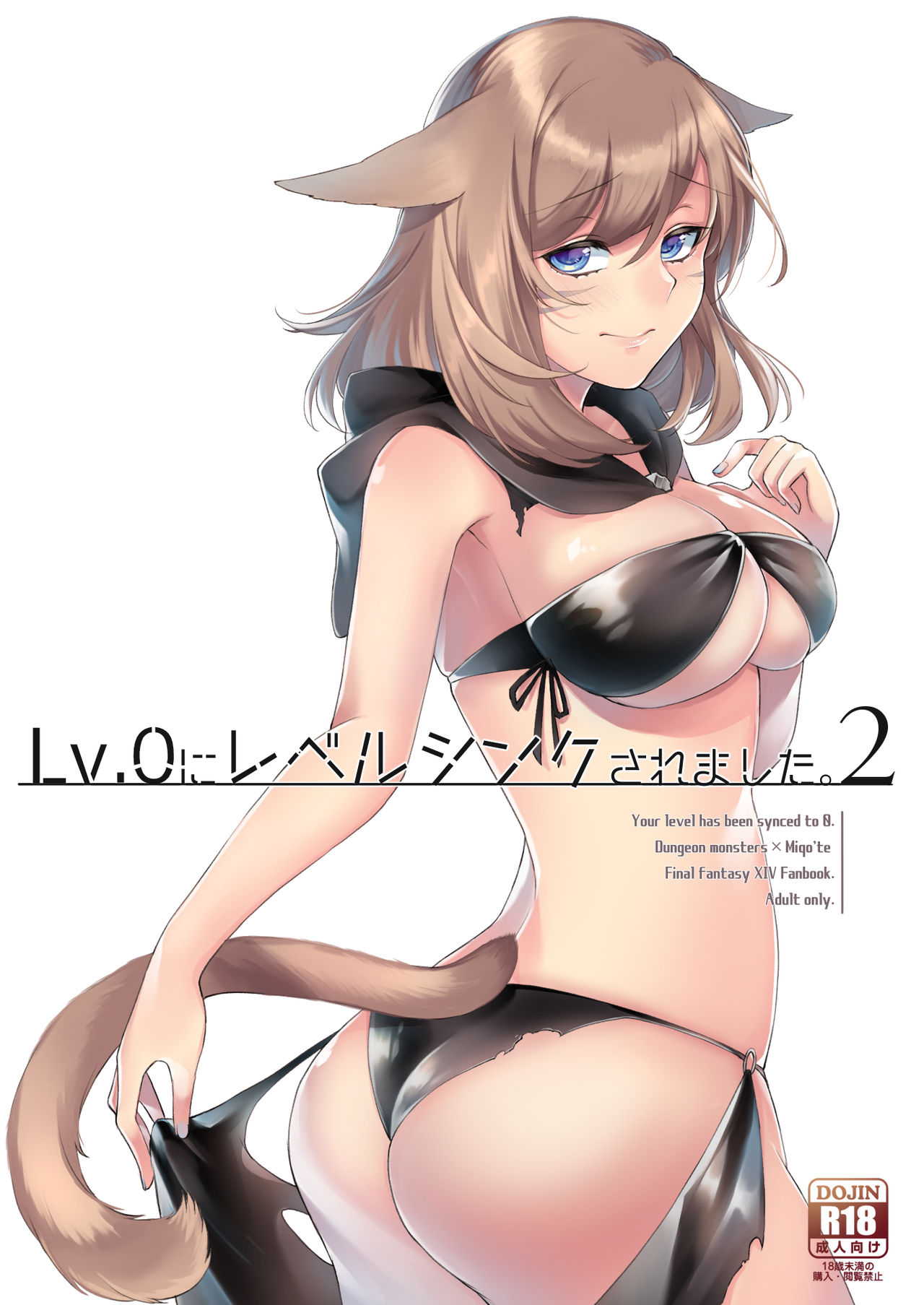 Lv.0 ni Level Sync Saremashita. 2 - Your level has been synced to 0. page 1 full