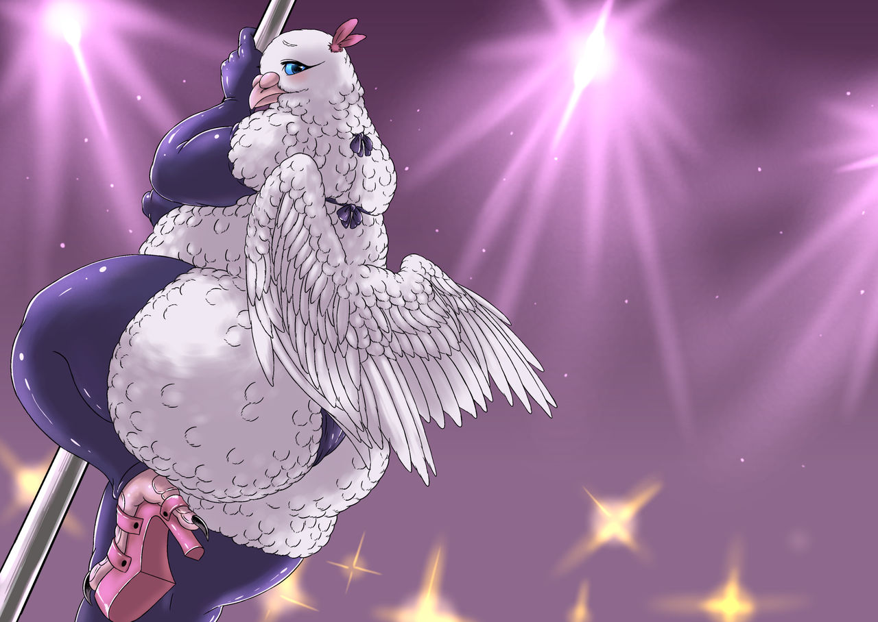 Hato Oku-sama no Late Show page 1 full
