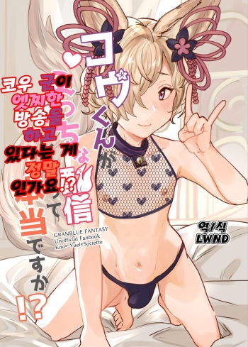 Kou-kun ga Ecchi na Haishin Shiteru tte Hontou desu ka!? | 코우 군이 엣찌한 방송을 하고 있다는 게 정말 인가요!? cover