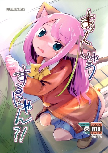 Akusyuu Suru Nyan?! cover