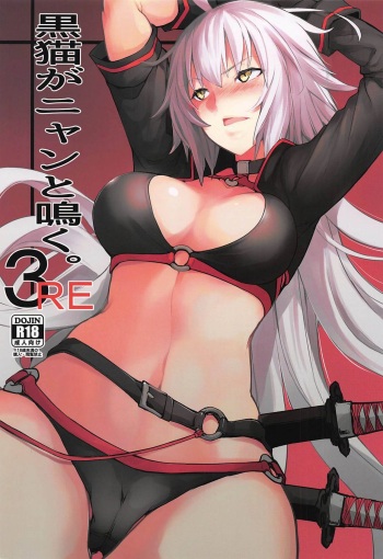 Kuroneko ga Nyan to Naku. 3RE cover