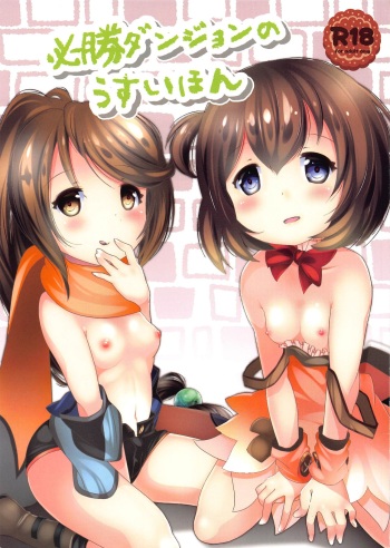 Hisshou Dungeon no Usui Hon cover