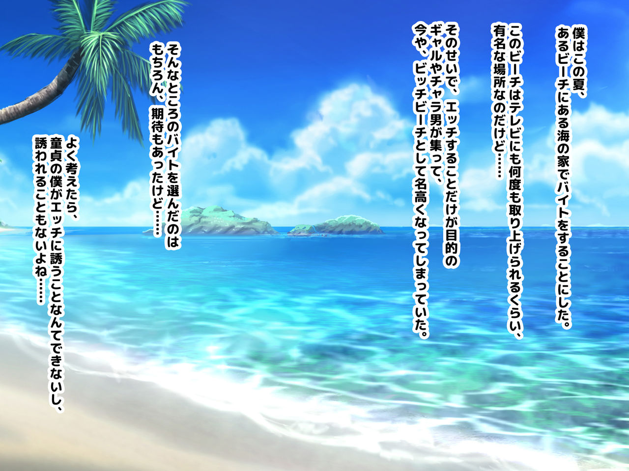 Doutei Chinpo ga Daisuki na Hatsujou Bitch ni Namahame Nakadashi Haramase Dekiru Hoshigari Manko Beach page 2 full