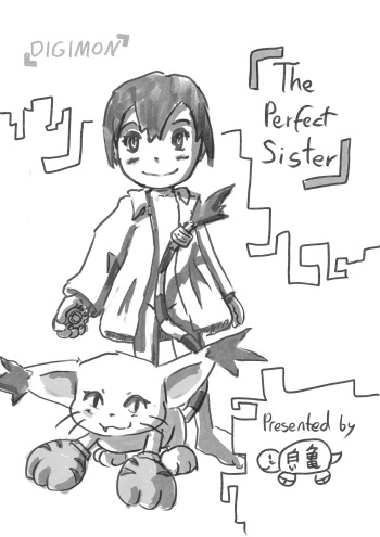 The perfect Sister cover