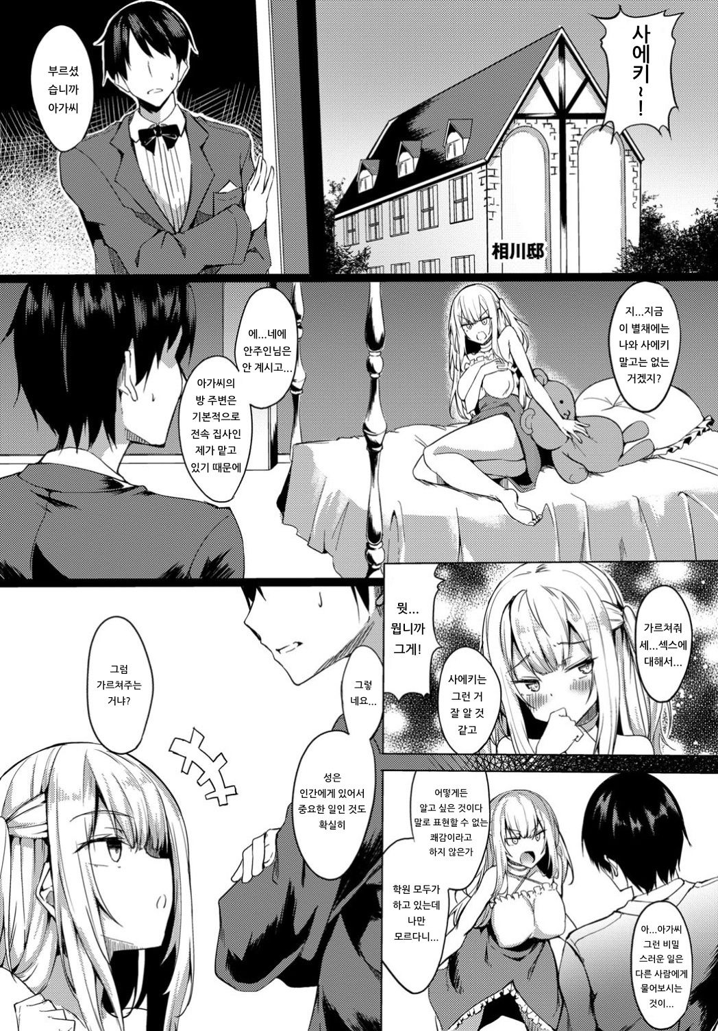 Ojou-sama mo Ecchi ga Shitai | 아가씨도 엣찌가 하고 싶어 page 2 full
