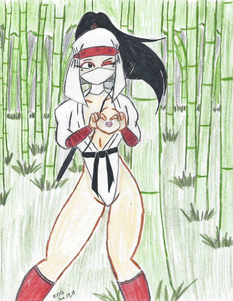 Ninja Zakos page 10 full