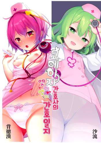 Komeiji Nurse no Echi Echi Kango Nisshi cover