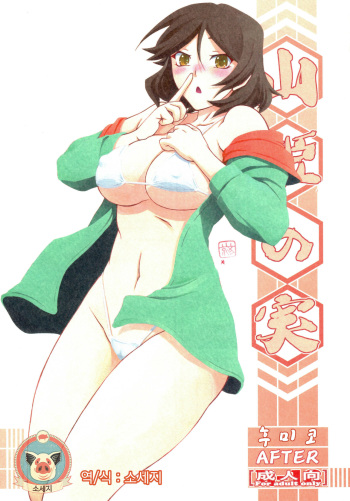 Akebi no Mi - Fumiko AFTER cover