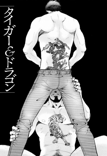 The Tiger And The Dragon cover
