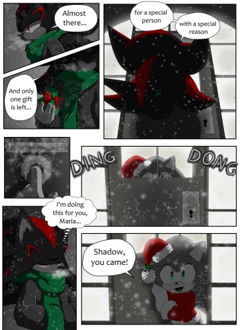 Twelve Pages of Sonadow cover