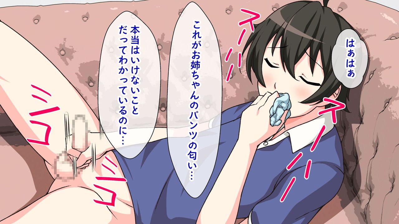 Daisuki na Onee-chan no Pants de Onanie Shitetara Sex Suru Koto ni Natta Ken page 2 full