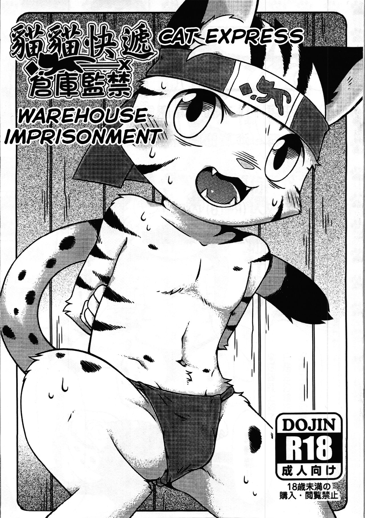 Cat Express page 1 full