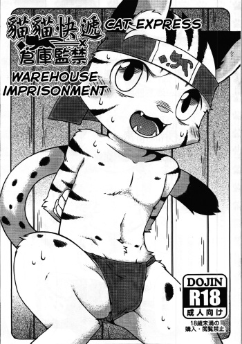 Cat Express cover