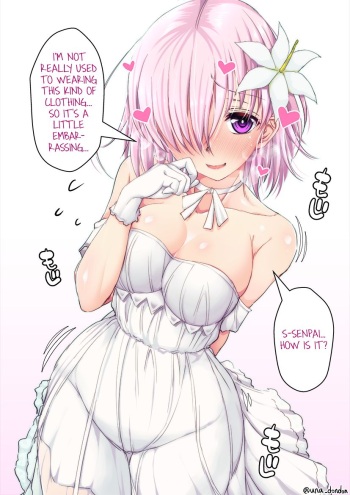 StolenTranslations 11-2019 cover