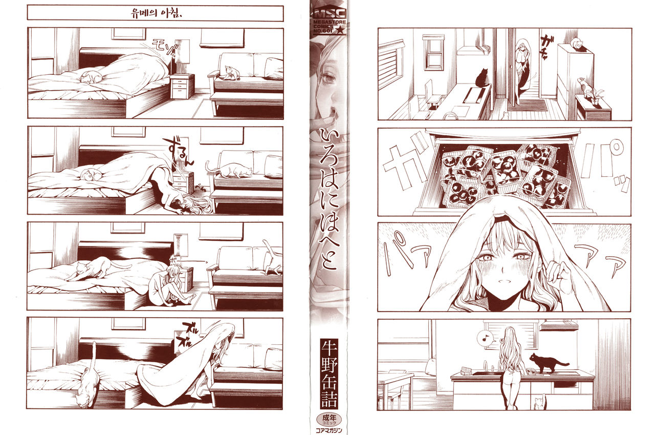 Morpho page 4 full