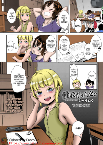 Seikyouiku wa Rankou de cover