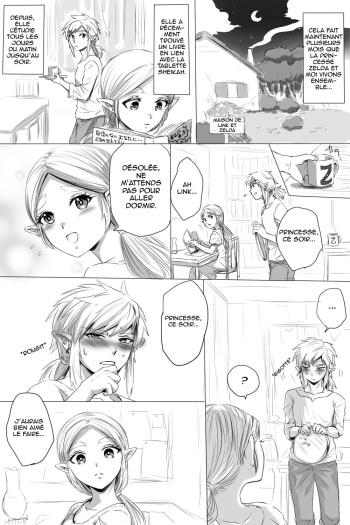 BreaWi no LinZel ga Hitasura Ichaicha Shite Sukebe na Koto Suru Manga | Un manga BotW où Link et Zelda flirt et font des choses obscènes cover