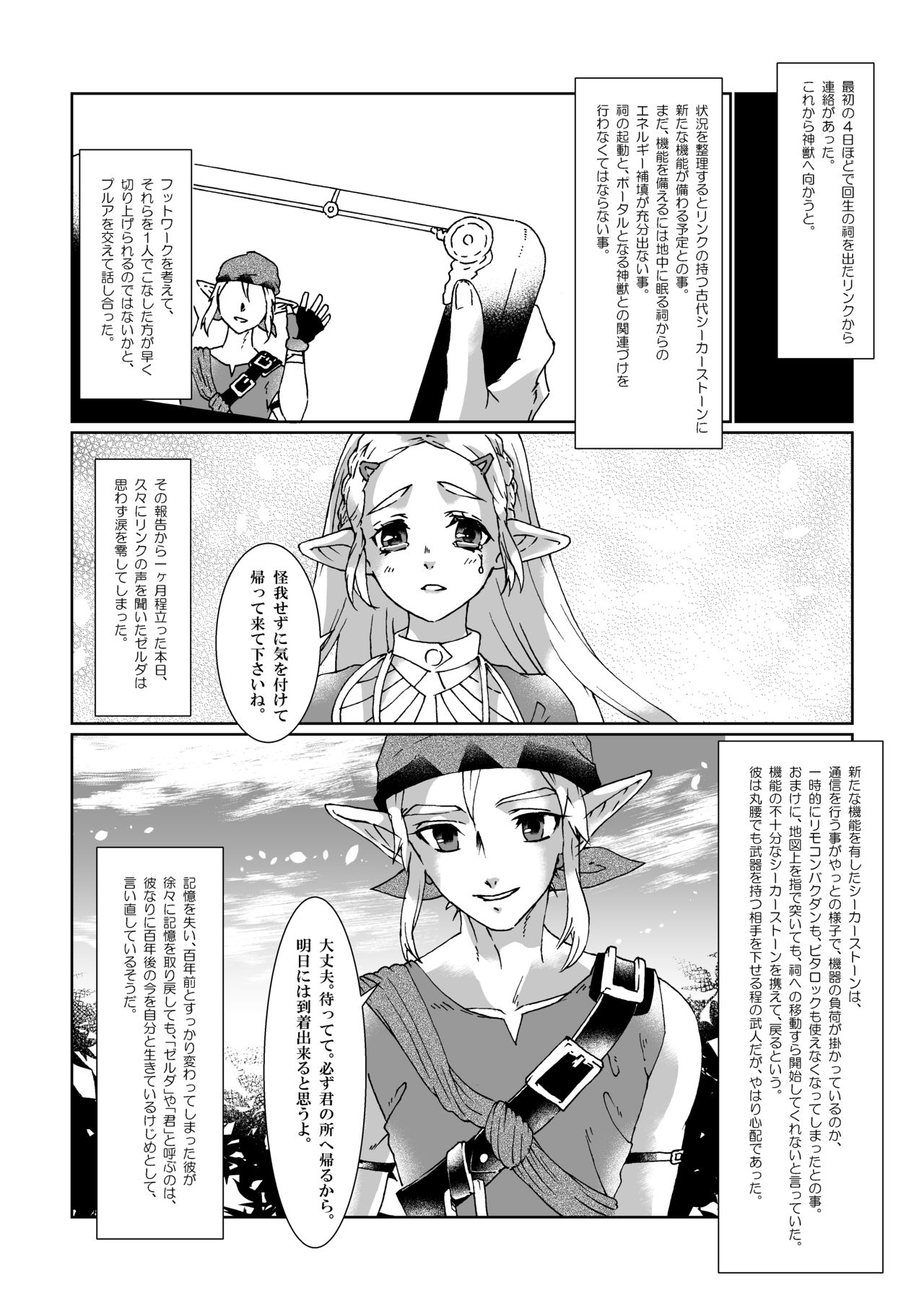 βLupi page 3 full