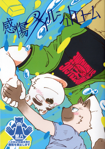 Kanshou no Maelstrom cover