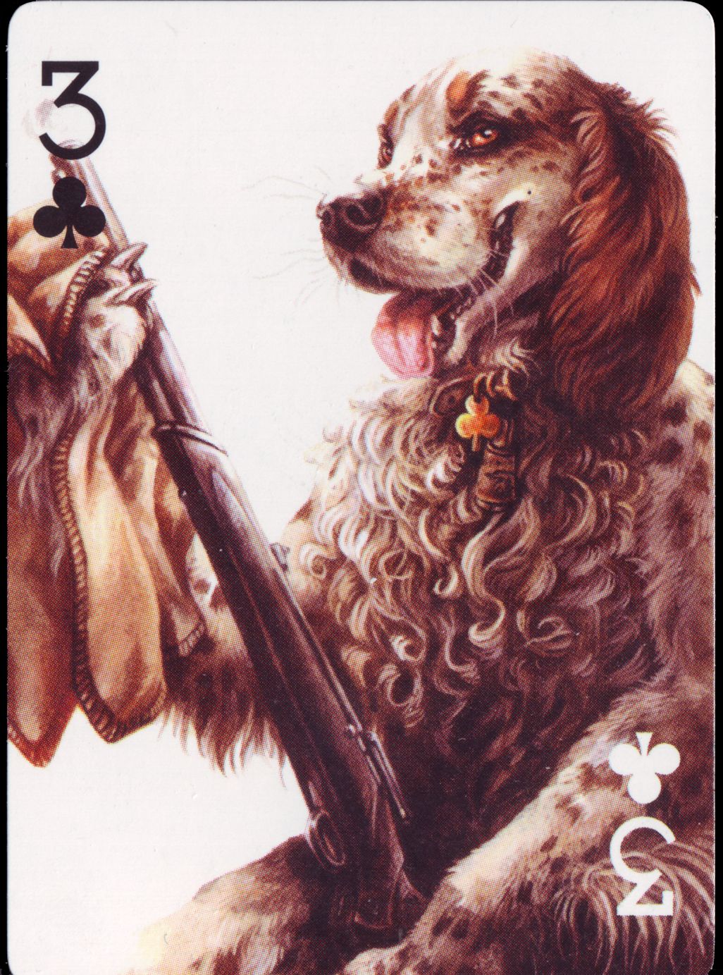 The Kennel Club page 6 full