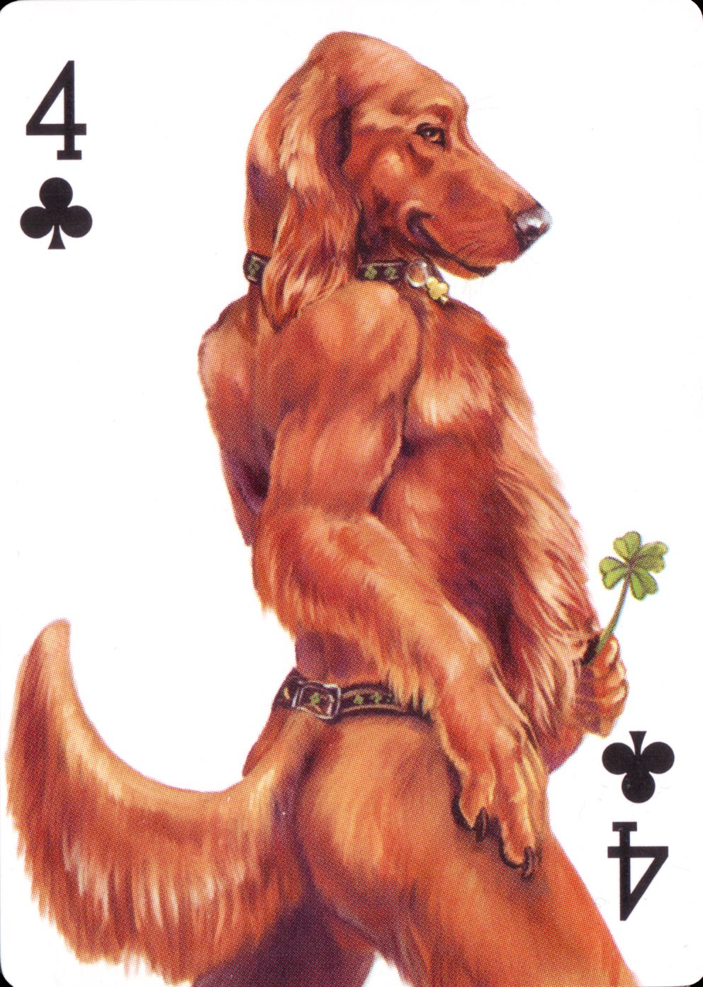 The Kennel Club page 7 full