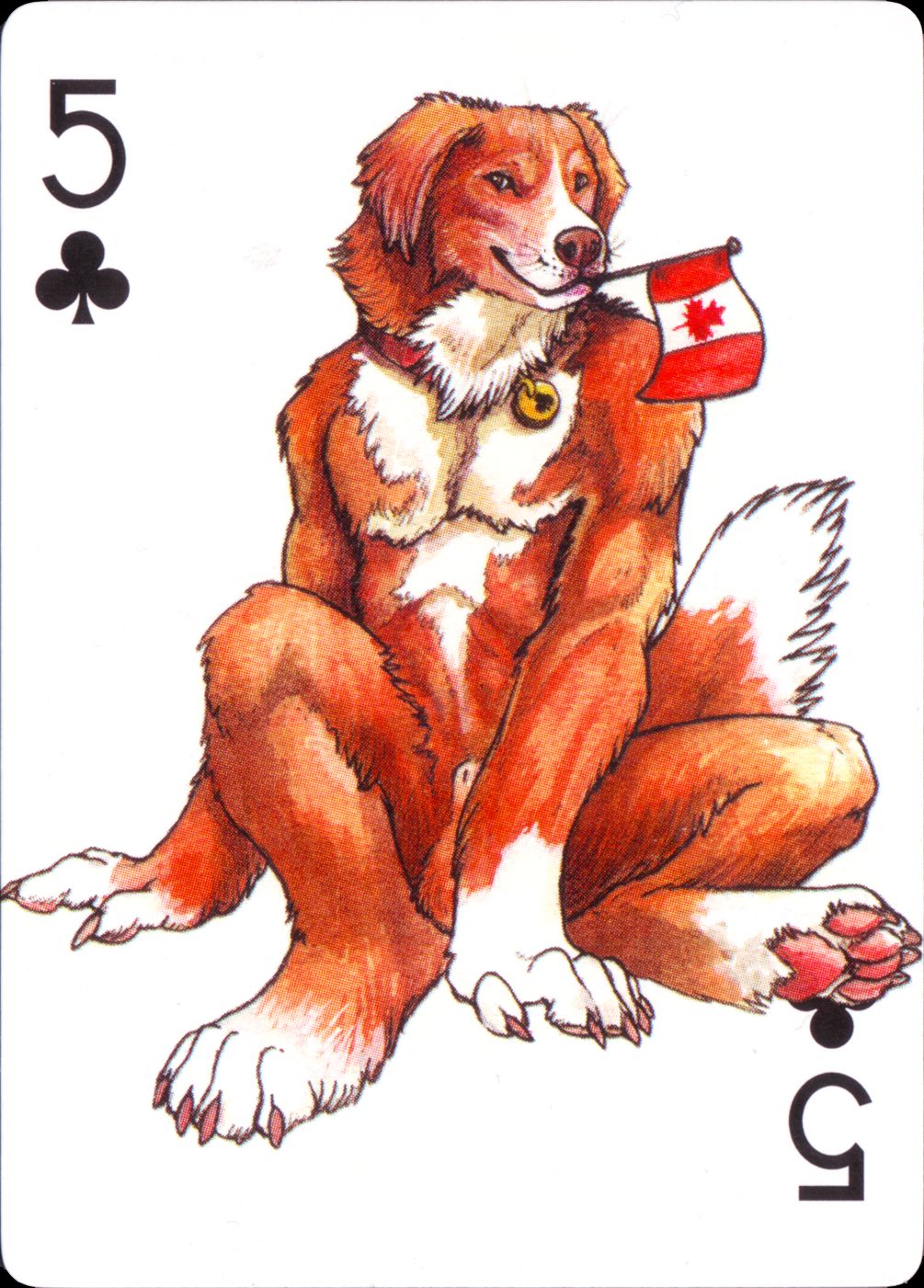 The Kennel Club page 8 full