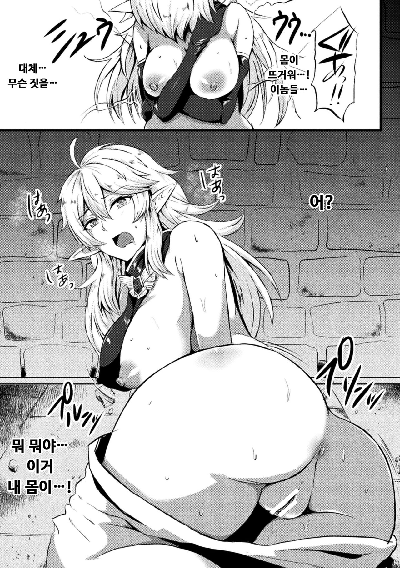TS Ouji Mikhail Haishin no Mesu Elf | TS 왕자 미하일 -배신의 암컷 엘프- page 3 full