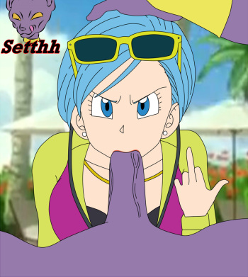 Beerus x Bulma cover