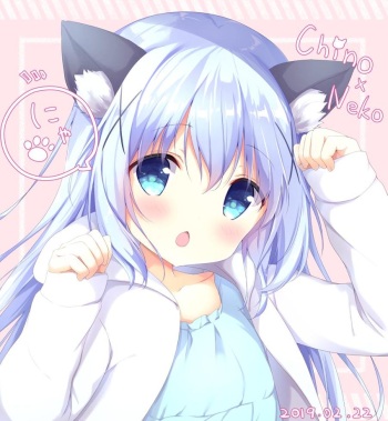 Chino Kafuu cover