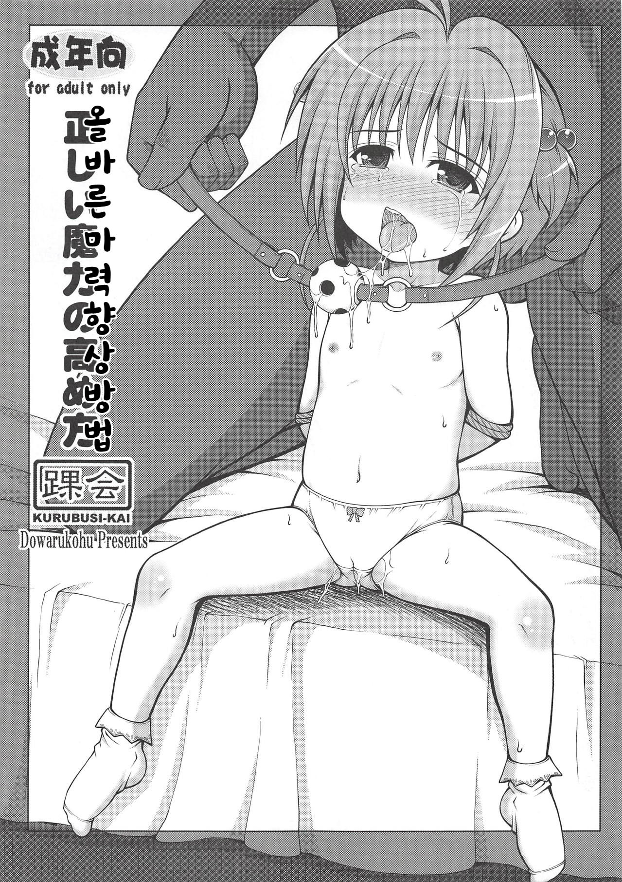 Tadashii Maryoku no Takamekata page 1 full