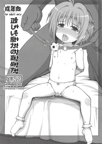 Tadashii Maryoku no Takamekata cover