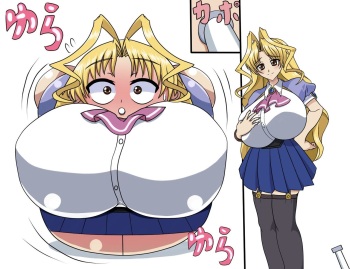 Saito Gallery cover